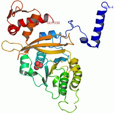 Image Asym./Biol. Unit - manually