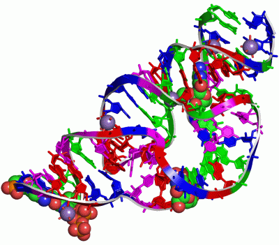 Image Asym./Biol. Unit - manually