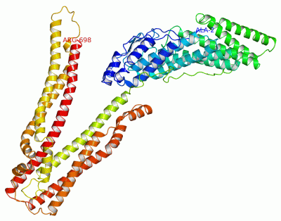 Image Asym./Biol. Unit - manually