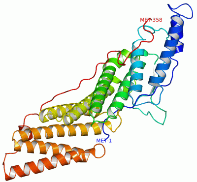 Image Asym./Biol. Unit - manually