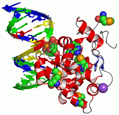 Image Asym./Biol. Unit - manually