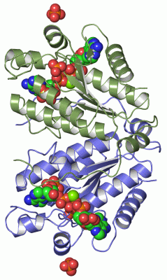 Image Asym./Biol. Unit - manually