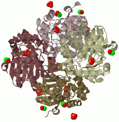 Image Biol.Unit 1 - manually