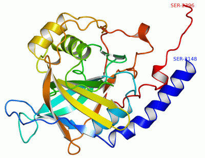 Image Asym./Biol. Unit - manually