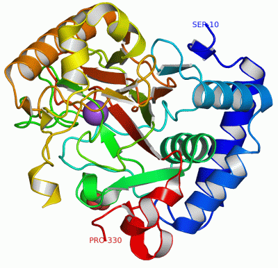 Image Asym./Biol. Unit - manually