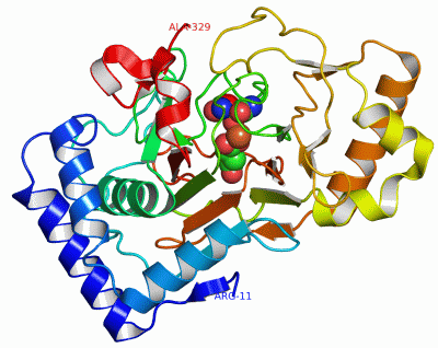 Image Asym./Biol. Unit - manually