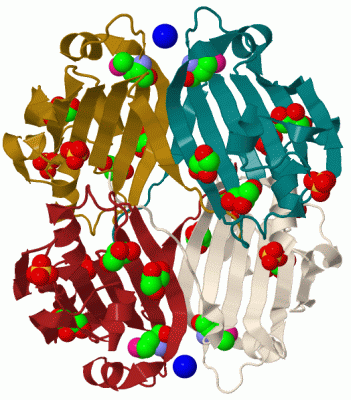 Image Biol.Unit 1 - manually