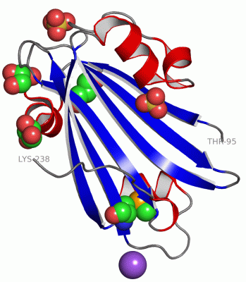 Image Asym.Unit - manually