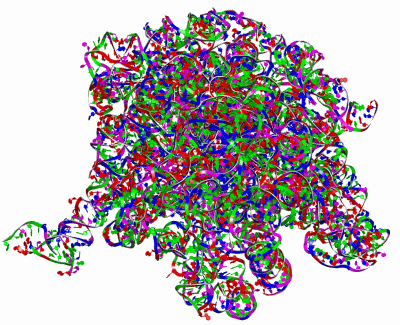 Image Asym./Biol. Unit - manually