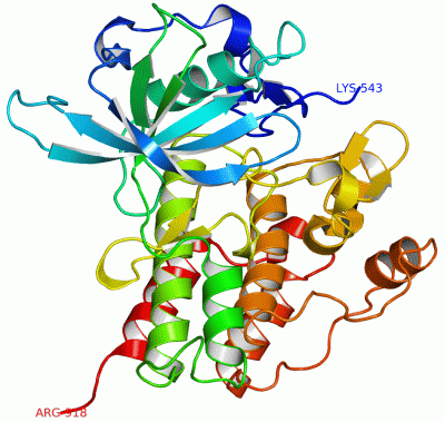 Image Asym./Biol. Unit - manually