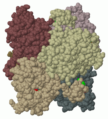 Image Biol.Unit 1 - manually