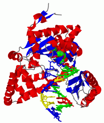 Image Biol.Unit 1 - manually