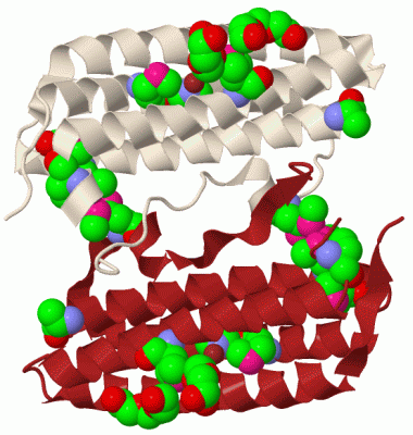 Image Biol.Unit 1 - manually