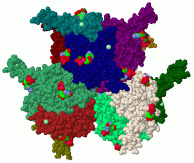 Image Biol.Unit 1 - manually