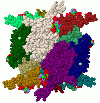 Image Biol.Unit 1 - manually