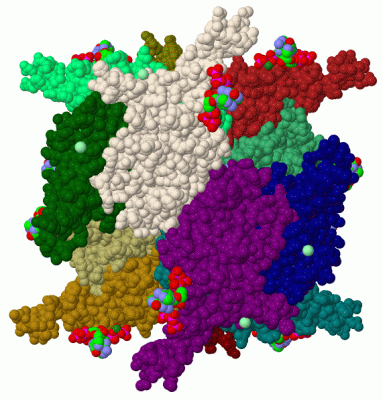 Image Biol.Unit 1 - manually