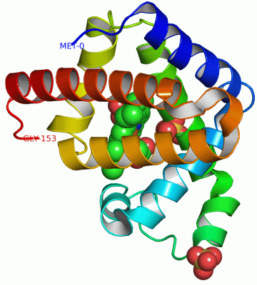 Image Asym./Biol. Unit - manually