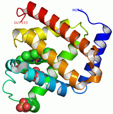 Image Asym./Biol. Unit - manually