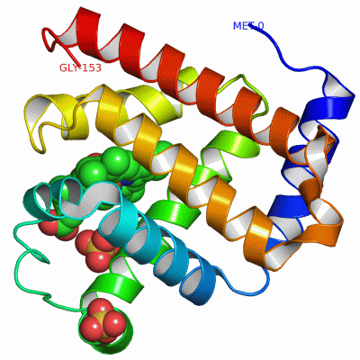 Image Asym./Biol. Unit - manually