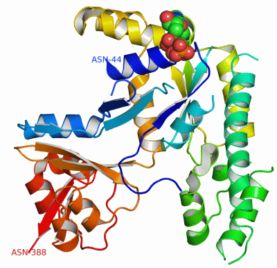 Image Asym./Biol. Unit - manually