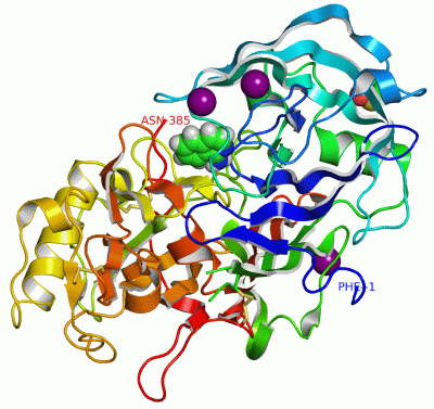 Image Asym./Biol. Unit - manually