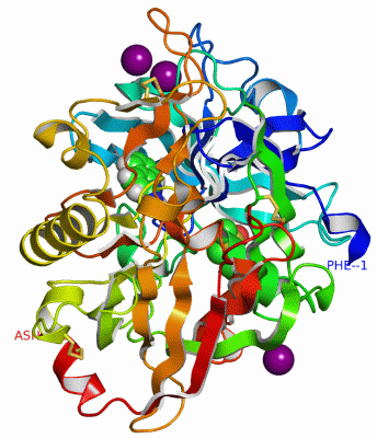 Image Asym./Biol. Unit - manually