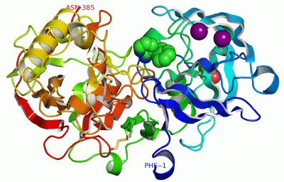 Image Asym./Biol. Unit - manually