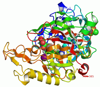 Image Asym./Biol. Unit - manually