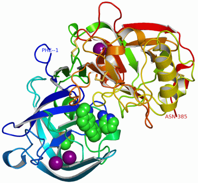 Image Asym./Biol. Unit - manually