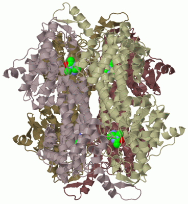 Image Biol.Unit 1 - manually