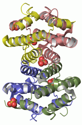 Image Asym./Biol. Unit - manually