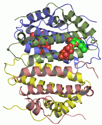 Image Asym./Biol. Unit - manually