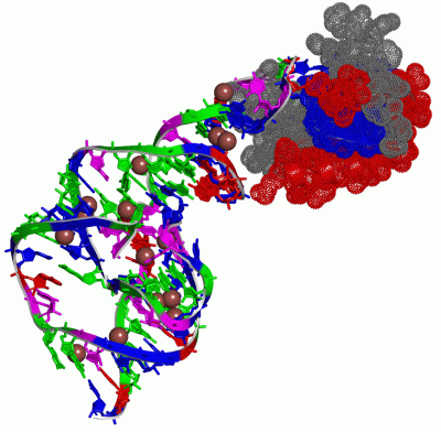 Image Asym./Biol. Unit - manually