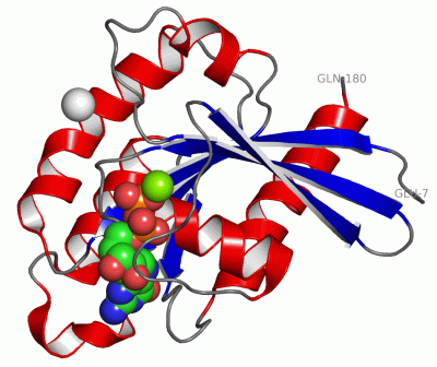 Image Asym./Biol. Unit - manually