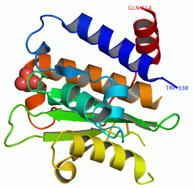 Image Asym./Biol. Unit - manually