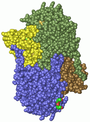 Image Asym./Biol. Unit - manually