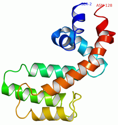 Image Asym./Biol. Unit - manually