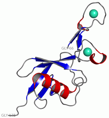 Image Asym./Biol. Unit - manually