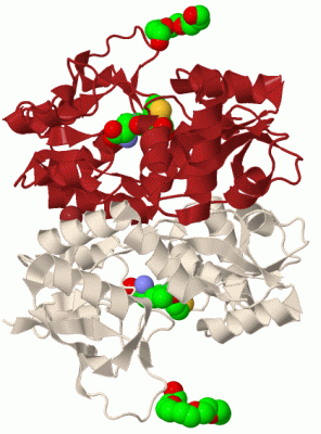 Image Biol.Unit 1 - manually