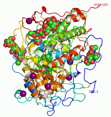 Image Asym./Biol. Unit - manually