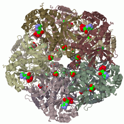 Image Biol.Unit 1 - manually