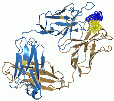 Image Asym./Biol. Unit - manually