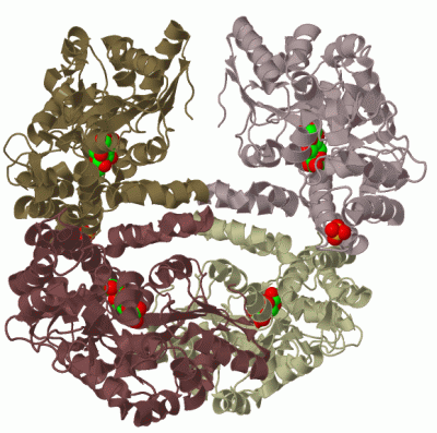 Image Biol.Unit 1 - manually