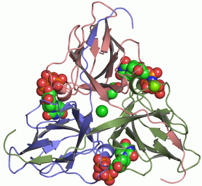 Image Asym./Biol. Unit - manually