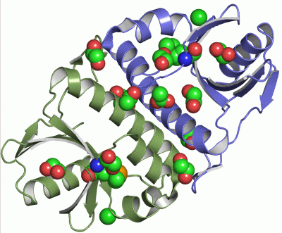 Image Asym./Biol. Unit - manually