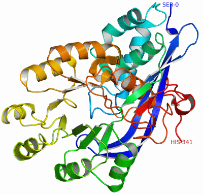 Image Asym./Biol. Unit - manually