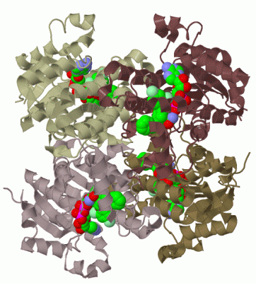 Image Biol.Unit 1 - manually