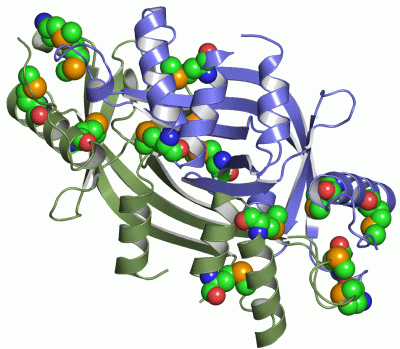 Image Asym./Biol. Unit - manually