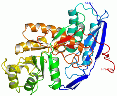 Image Asym./Biol. Unit - manually