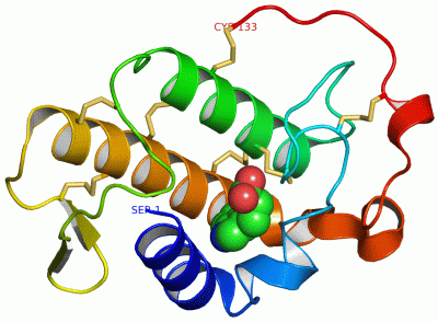 Image Asym./Biol. Unit - manually